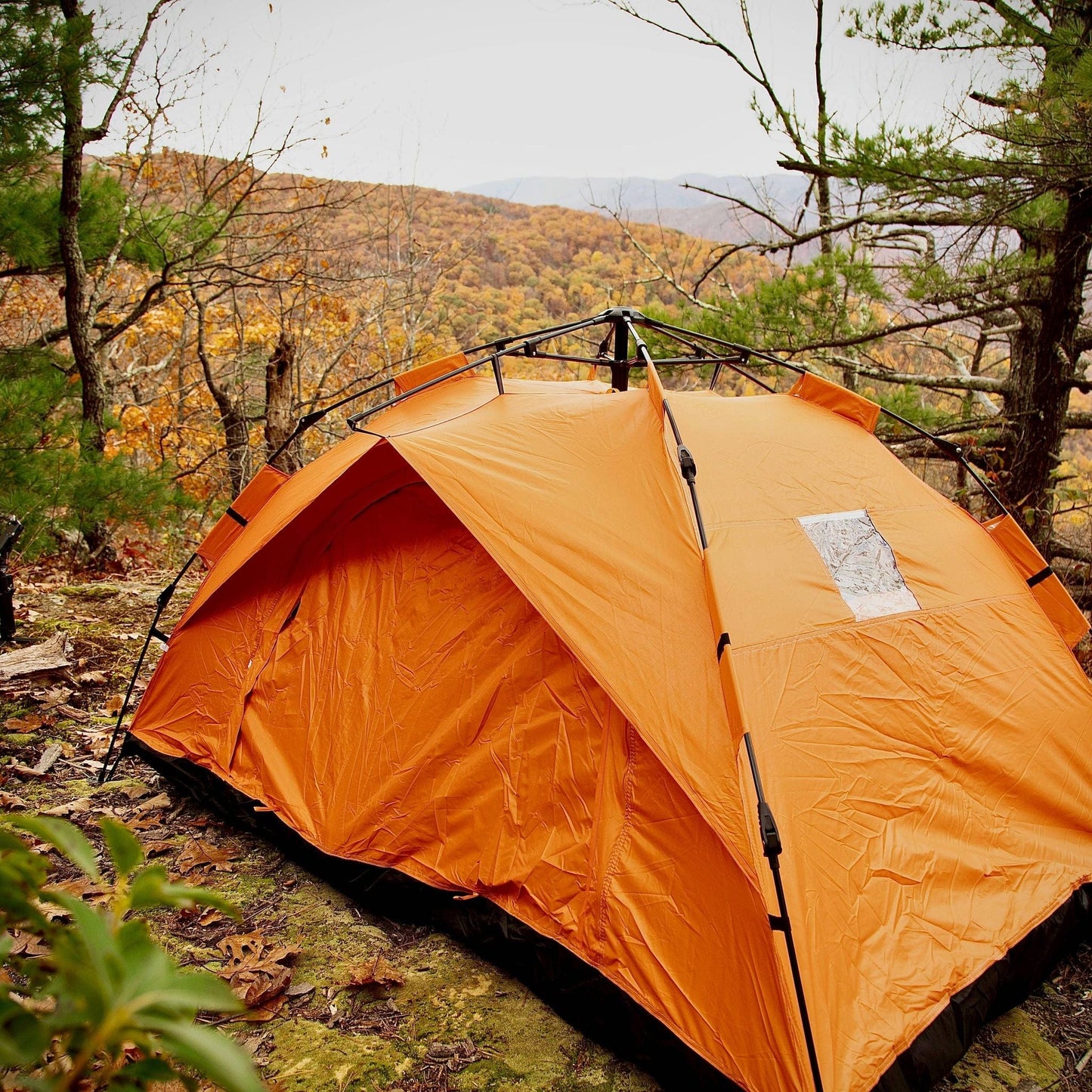 Quick Pop Tent!