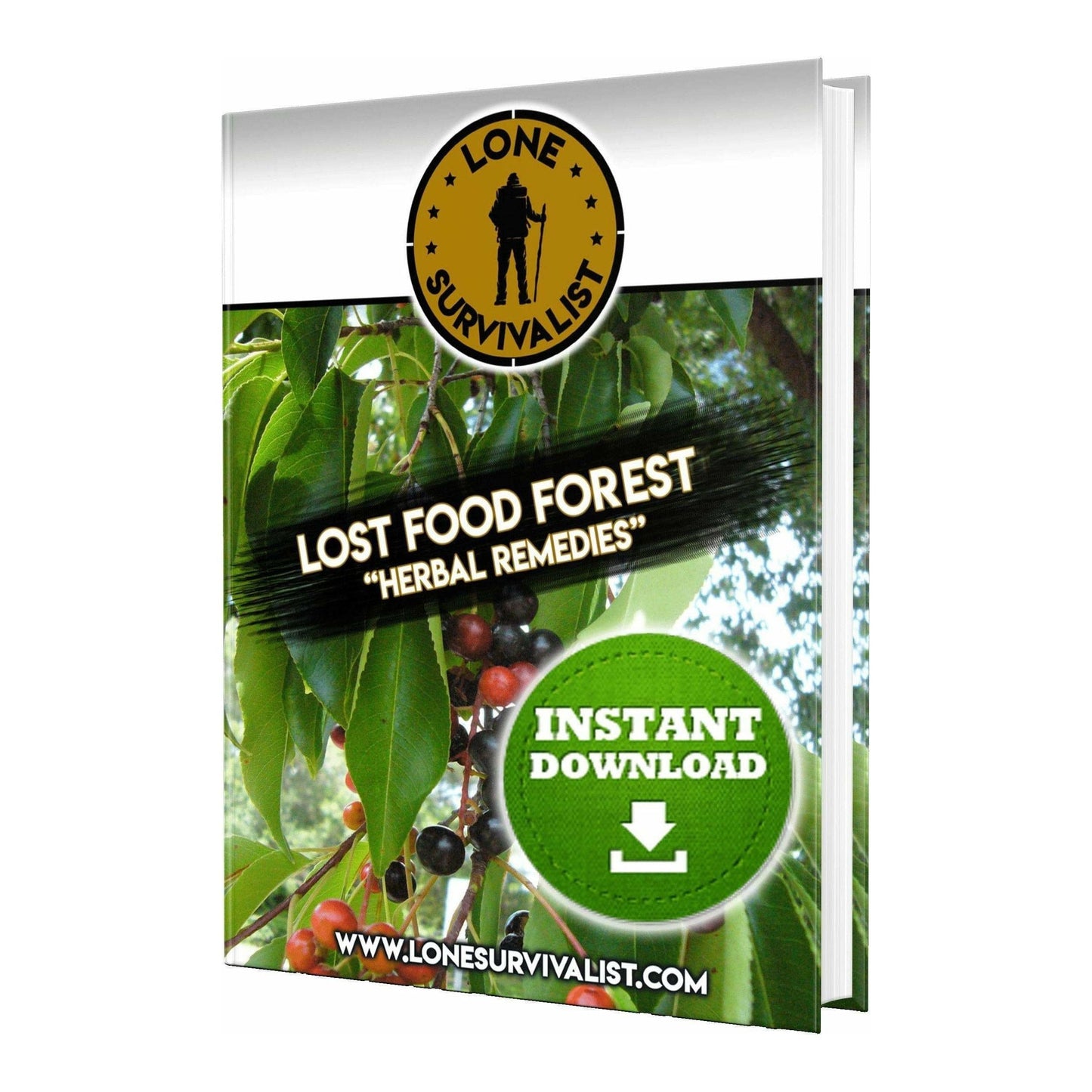 Lost Food Forest Handbook (e-book digital download)